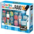 O Corpo Humano ao Raio X - Headu For Discount